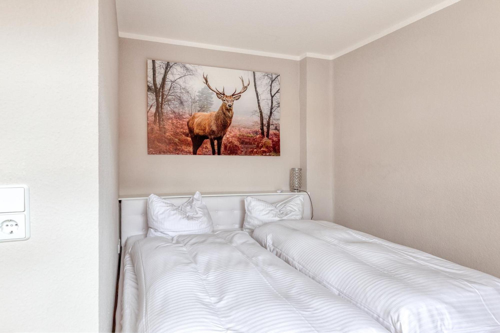 Ferienwohnungen Ziesing Thale Extérieur photo
