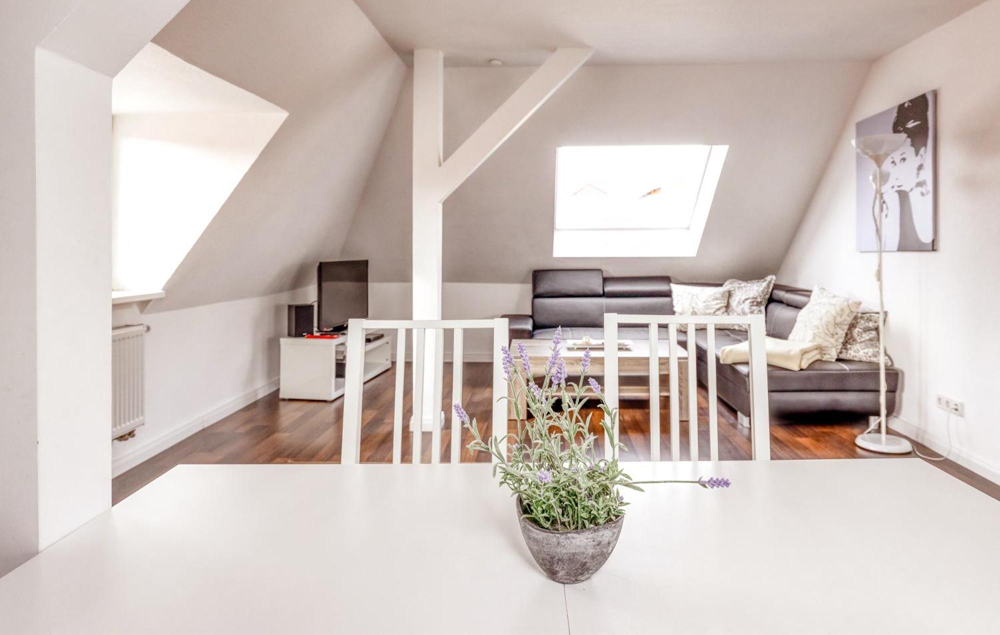 Ferienwohnungen Ziesing Thale Extérieur photo