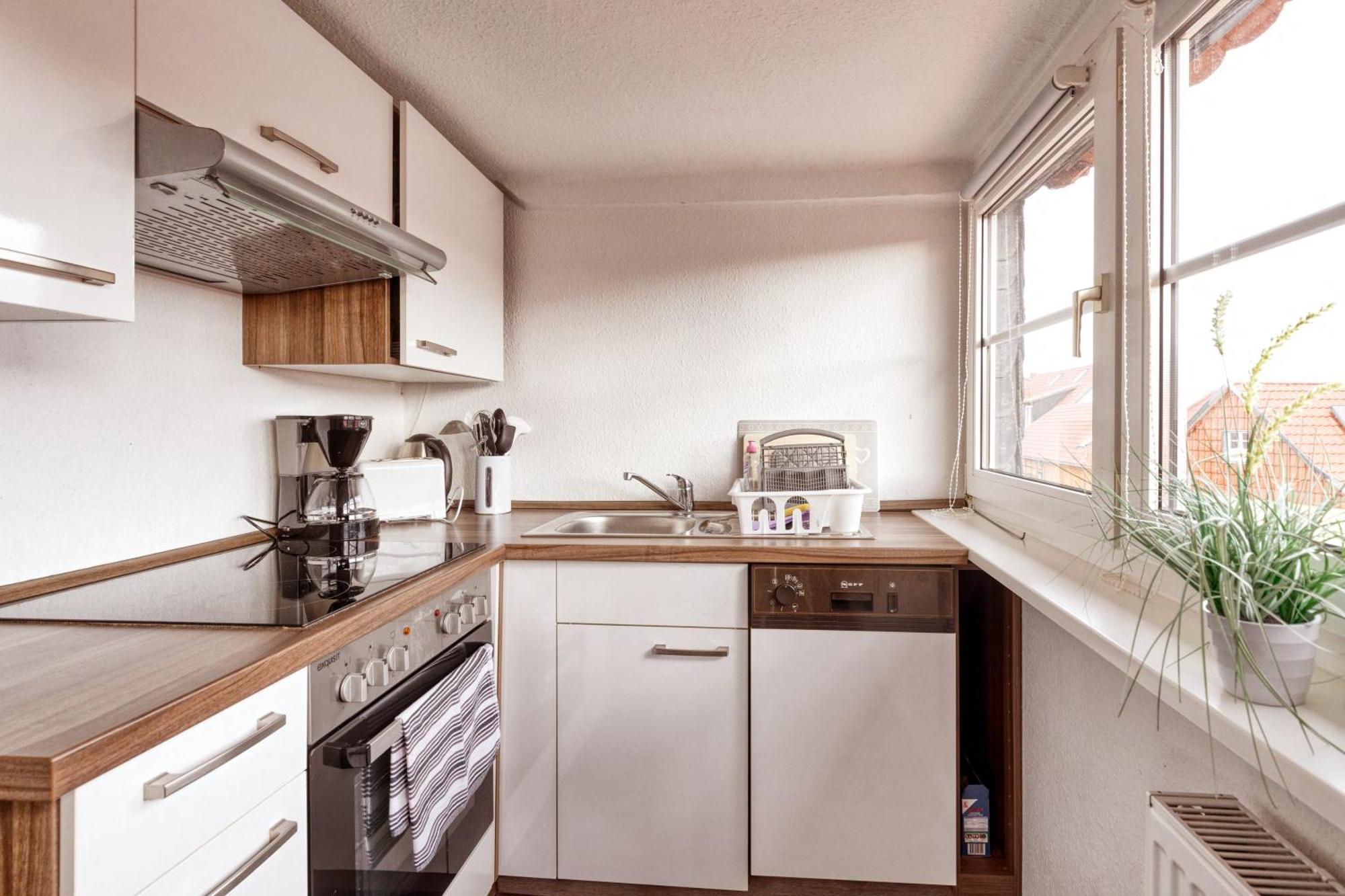 Ferienwohnungen Ziesing Thale Extérieur photo